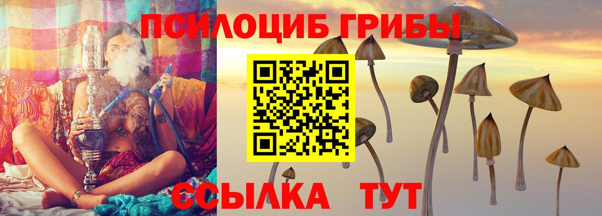 Псилоцибиновые грибы Cubensis  Галлюциногенные грибы Magic Shrooms  Каменка  Вход с VPN 
